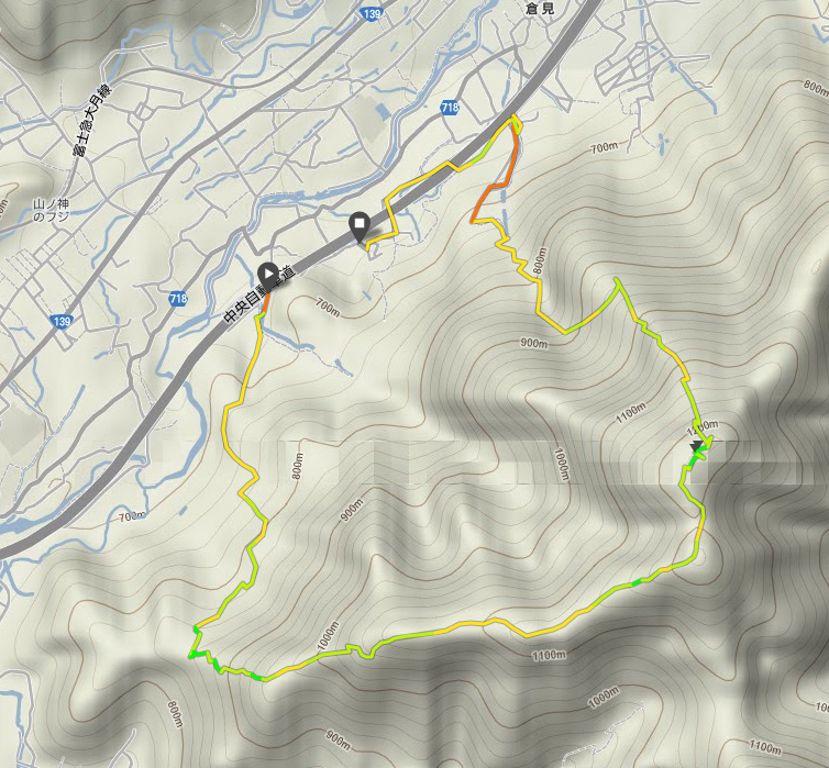 forest111-4.jpg