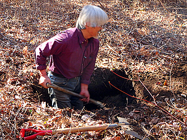 forest157-3.jpg