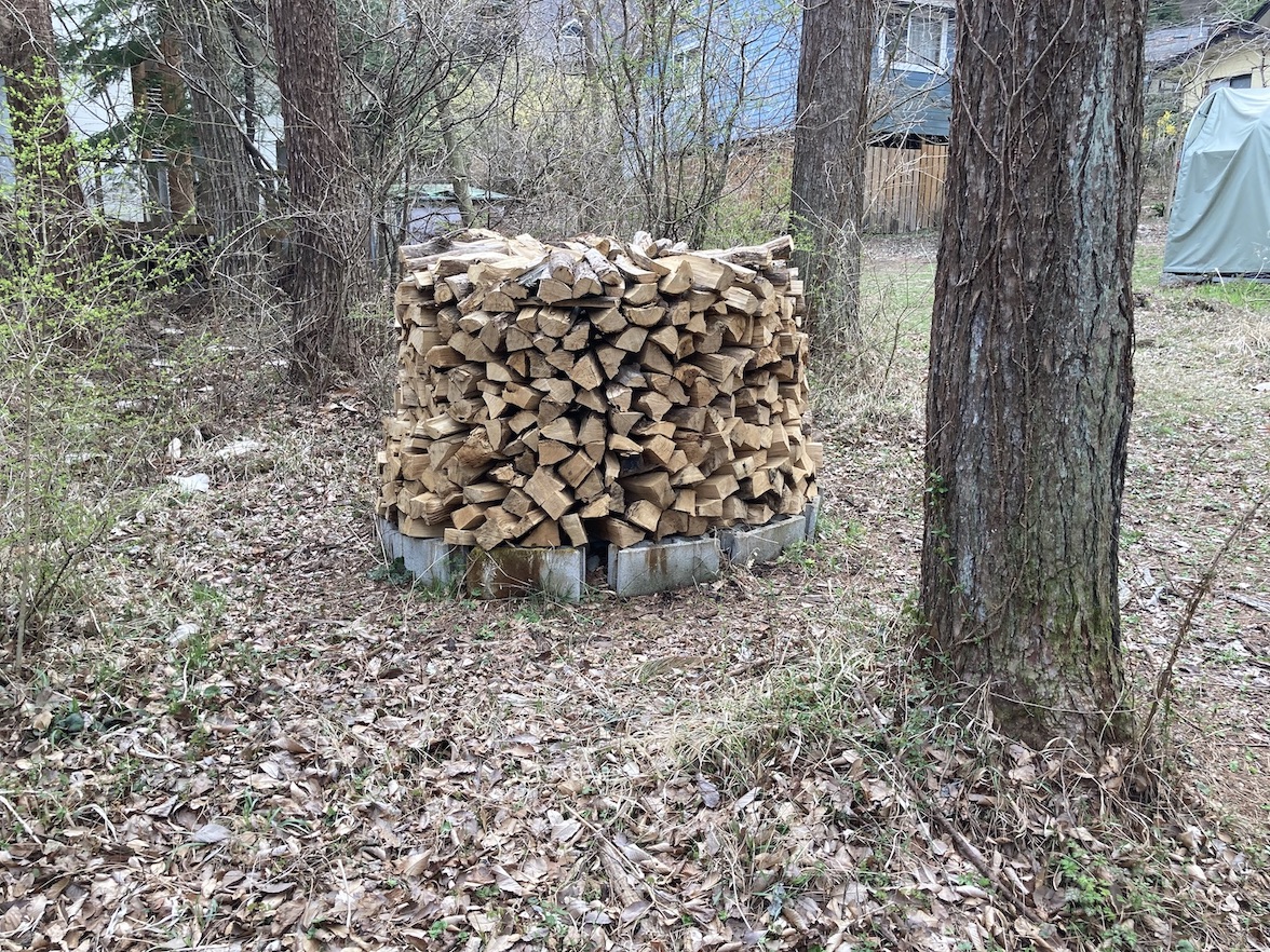 forest174-6.jpg