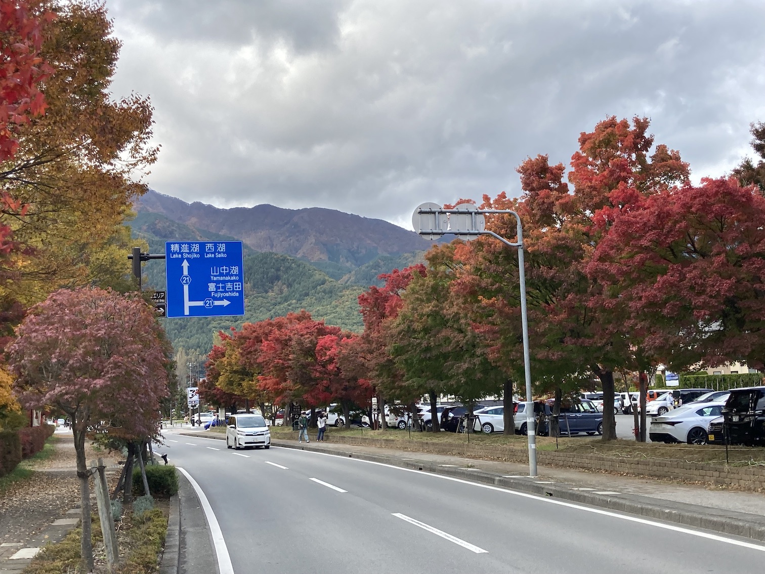 forest179-2.jpg