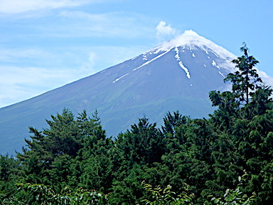 forest185-3.jpg