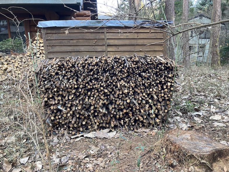 forest206-3.jpg