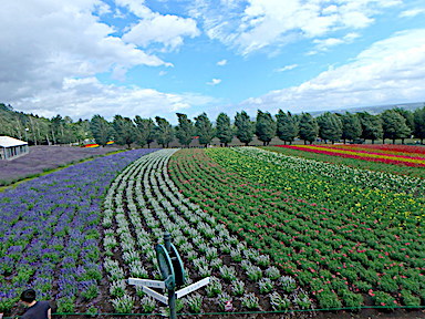 hokkaido-5.jpg
