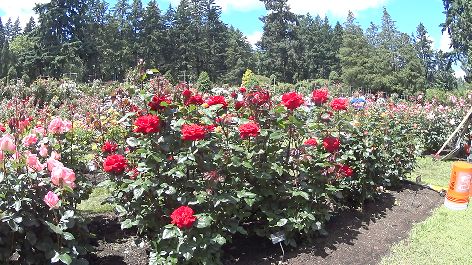 photo84-10.jpg