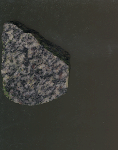 C20.gif