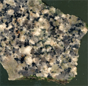 pl45a.gif
