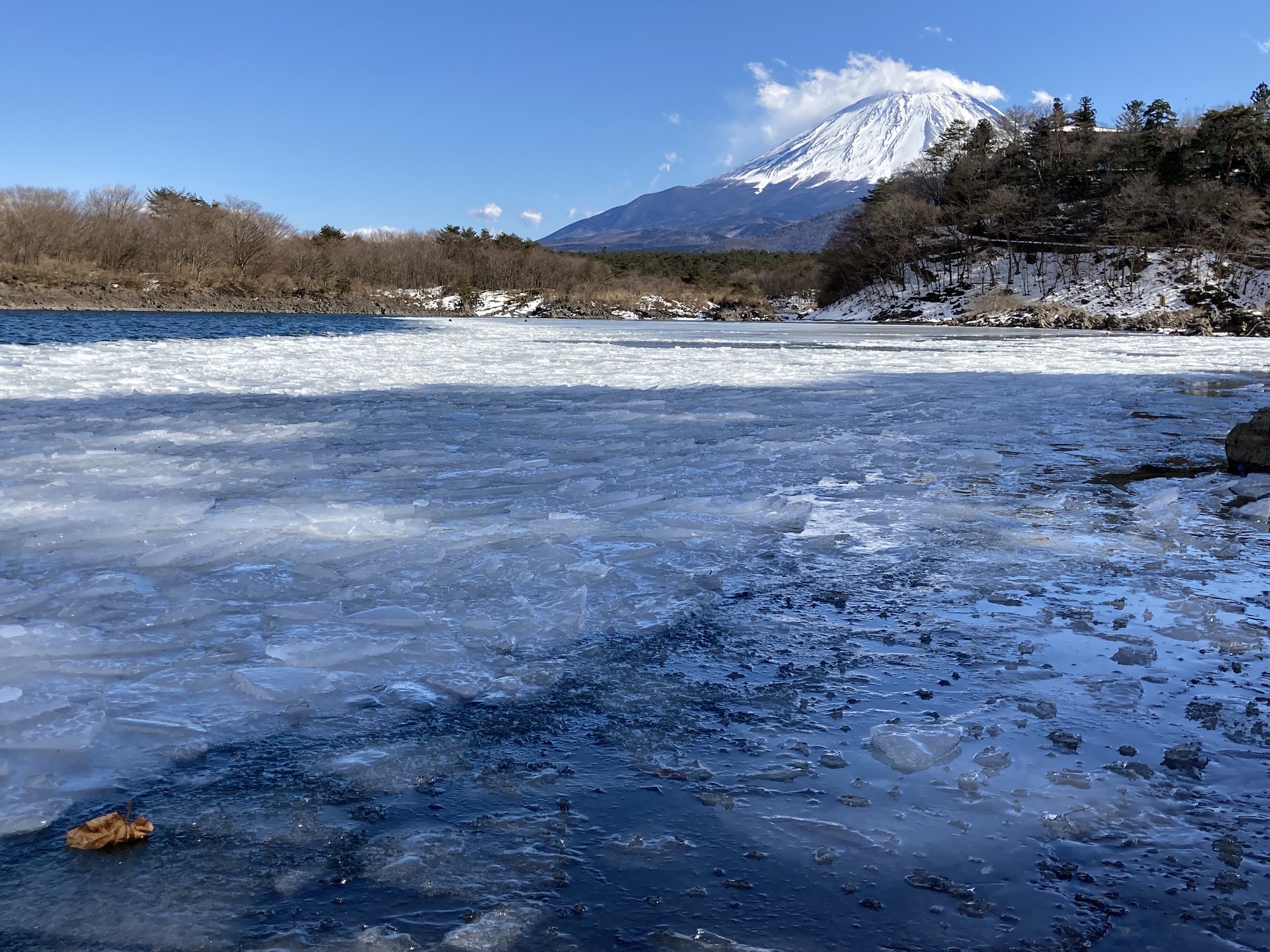 fuji8.jpg
