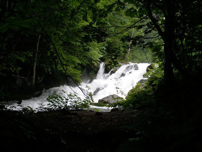 photo36-8.jpg