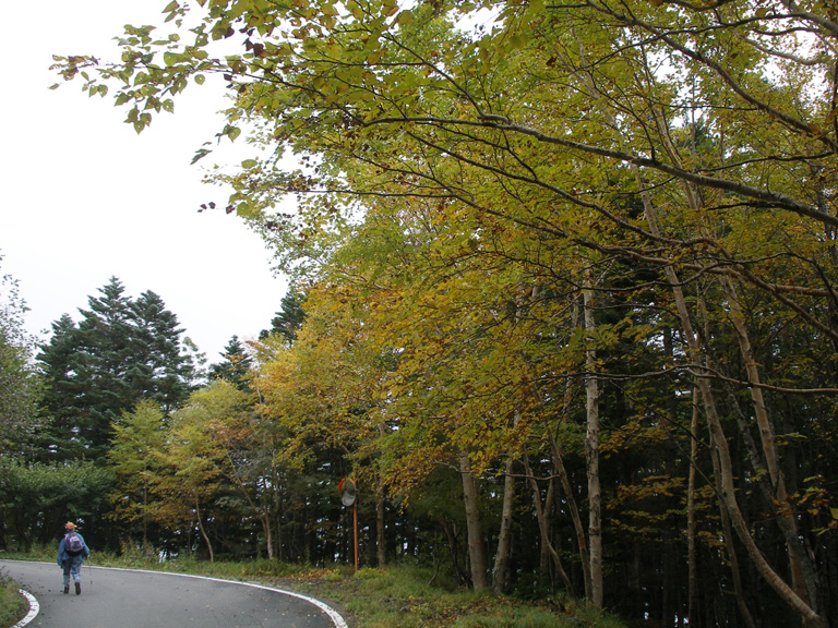 photo43-5.jpg