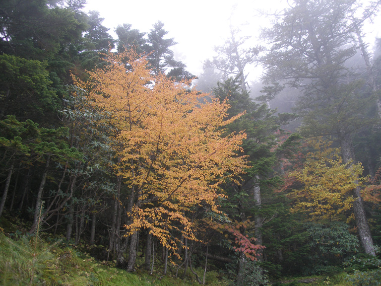 photo43-7.jpg