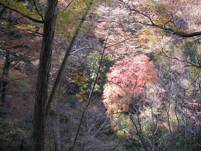 photo49-9.jpg