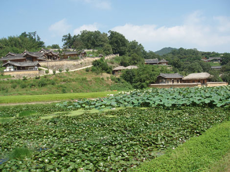photo58-9.jpg